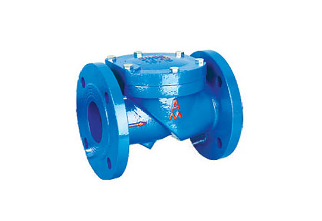 Asladon Rubber Disc Check Valve