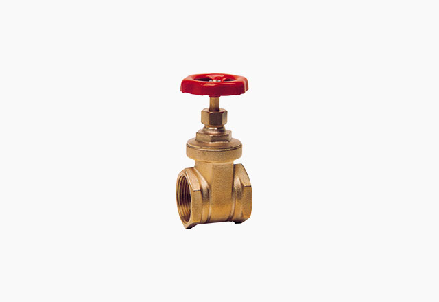 Brass gate valve