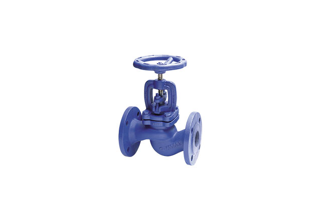 Cast iron globe valve