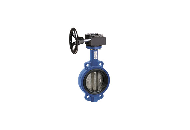 Ductile iron butterfly valve