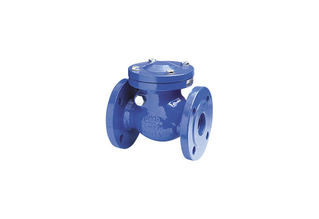 Cast iron swing check valve