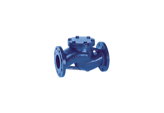 Cast iron piston check valve