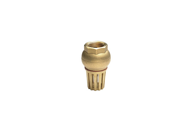 Brass foot valve