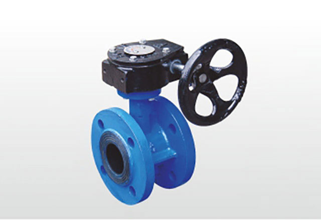 Asiadon Worm Flange Butterfly Valve