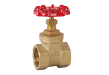 110 brass gate valve