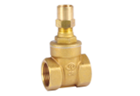 117 Brass Gate Valve